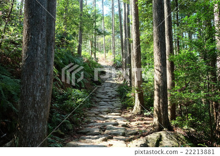 Kumano Kodo Magoshige Pass 22213881