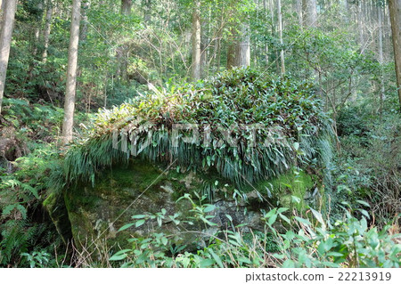 Kumano Kodo Kappa Rock 22213919