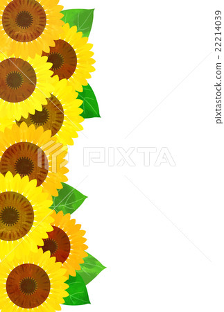 向日葵熱的夏天向日葵 22214039