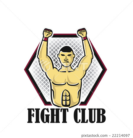 Fighter 22214097