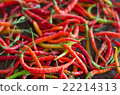 several red hot chili peppers, 22214313