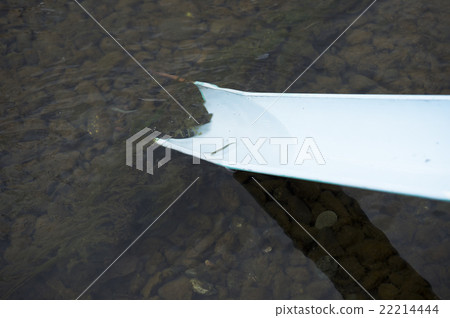 Salmon's release experience Salmon's release experience 22214444