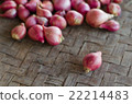 One shallot on blurred shallots background. 22214483