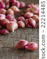 Two shallots on blurred shallots background. 22214485