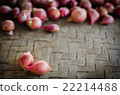 Two shallots on blurred shallots. 22214488