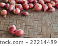 Two shallots on blurred shallots background, 22214489
