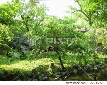 Hongqiao area Hongqiao area 22215728