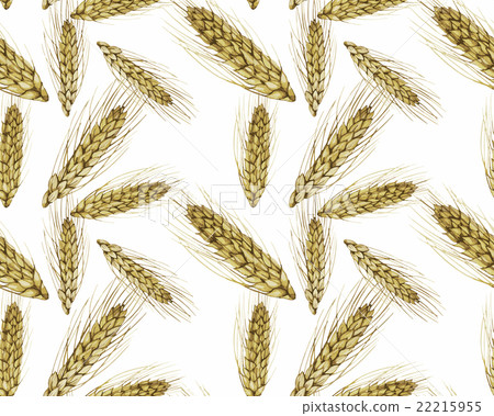Watercolor cereals pattern - Stock Illustration [22215955] - PIXTA
