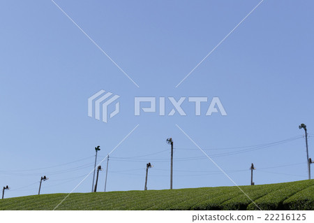 Teahara Nara City Tahara area Teahara Nara City Tahara area 22216125