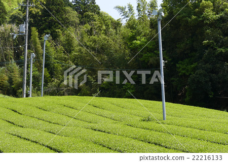 Teahara Nara City Tahara area Teahara Nara City Tahara area 22216133