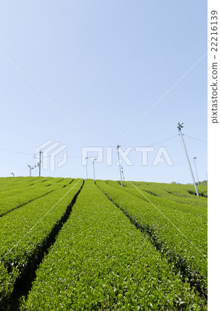 Teahara奈良市田原地區 Teahara奈良市田原地區 22216139