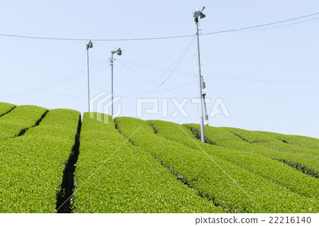 Teahara奈良市田原地區 22216140