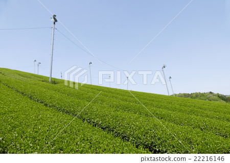 Teahara奈良市田原地區 22216146