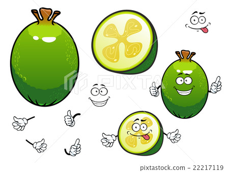 Fresh cartoon green feijoa fruit characters 22217119