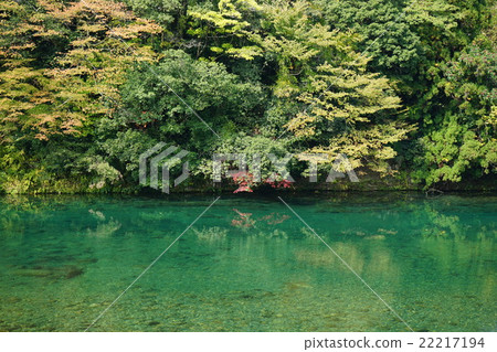 Shimpo Ikedogawa 22217194