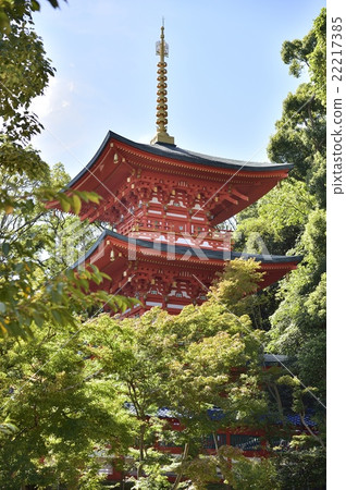 Sumadera Triple Tower 22217385