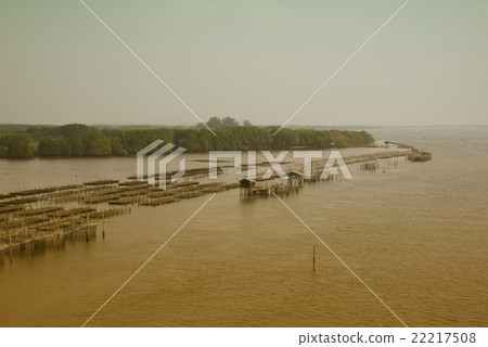 Thailand at a Oyster Farm 22217508