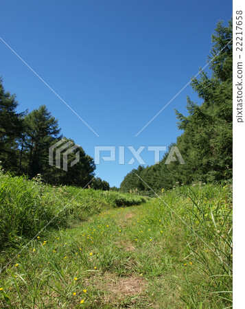 Shinshu Trail Ski Area 22217658