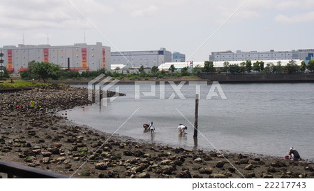 Oi Hubei Central Seaside Park Oi Hubei Central Seaside Park 22217743