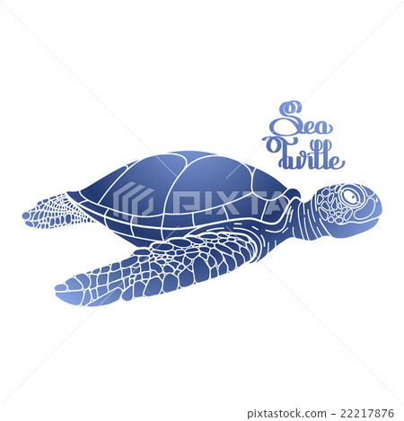 Hawksbill sea turtle 22217876