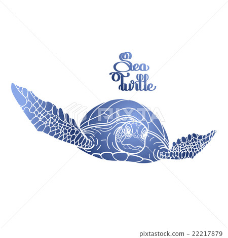 Hawksbill sea turtle Hawksbill sea turtle 22217879