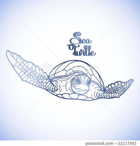 Hawksbill sea turtle Hawksbill sea turtle 22217881