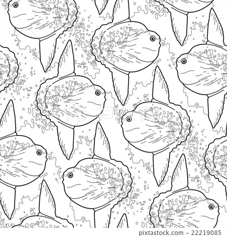 Graphic vector sunfish pattern Graphic vector sunfish pattern 22219085