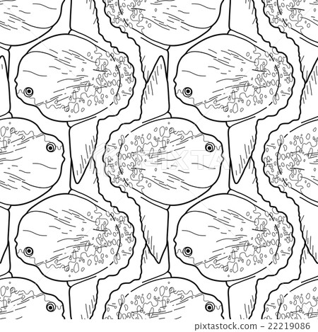 Graphic vector sunfish 22219086