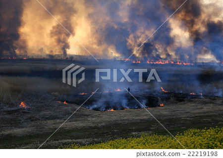 Yoshi yaki遠景 22219198