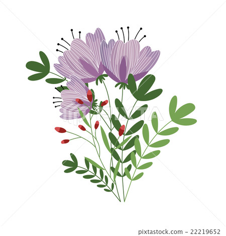 Flowers isolated vector - Stock Illustration [22219652] - PIXTA