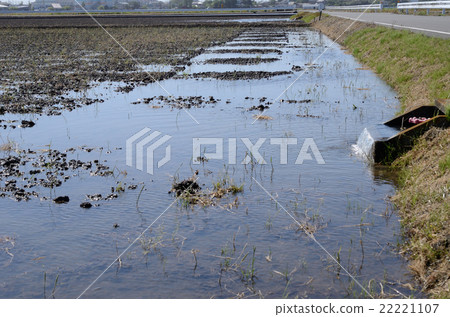 A rice field where the valve is opened and water is drawn to prepare for rice planting 22221107