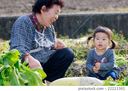 A photographer of a mother-in-law and a grandchild at his wife's parents home A photographer of a mother-in-law and a grandchild at his wife's parents home 22221301
