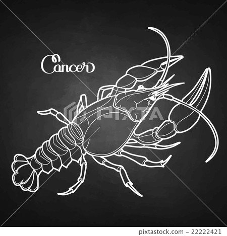 Graphic vector cancer Graphic vector cancer 22222421