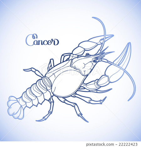 Graphic vector cancer Graphic vector cancer 22222423