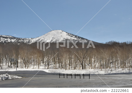 春天八甲田 22222661