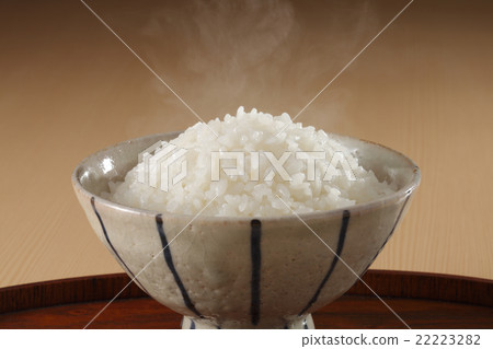 飯 飯 22223282