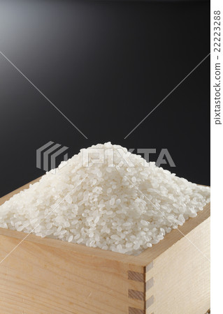 飯 飯 22223288
