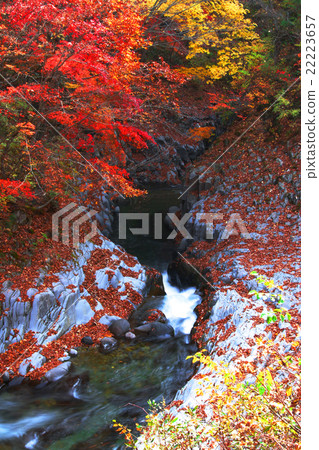 Autumn Nakatsugawa Valley 22223657