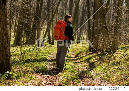 Male hiker looking to the side walking in forest Male hiker looking to the side walking in forest 22224441