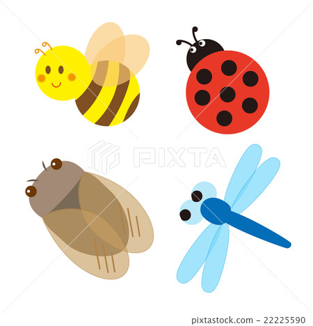Summer insects set Summer insects set 22225590