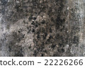 Stone Wall Texture 22226266