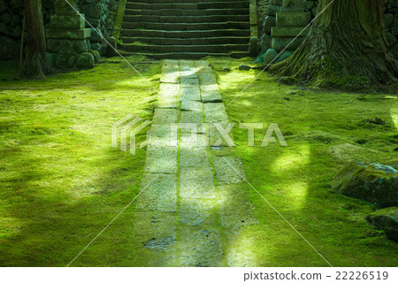 苔蘚鵝卵石 22226519