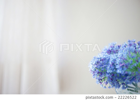 Window side flower window window side Flower arrangement 22226522