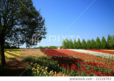 切割領域380  -  22226763