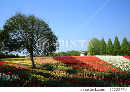 Cutting-off field 382 Cutting-off field 382 22226764
