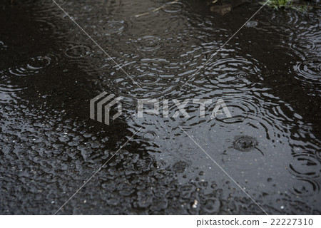 雨 22227310