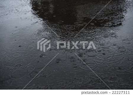 雨 22227311