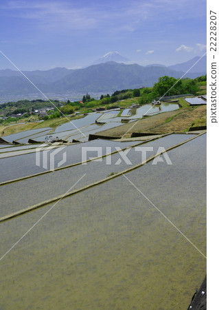 水稻梯田 水稻梯田 22228207