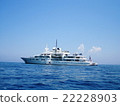 Mediterranean cruiser 22228903