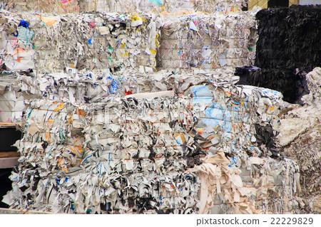 Paper waste to be recycled 22229829